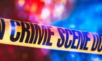 Mexico Finds 17 Bodies Buried in Backyards, Patios