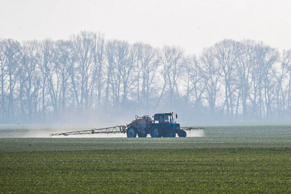 A tractor spreading fertilizers to a field of winter wheat near the village of Husachivka in Kyiv region, Ukraine on April 17, 2020. (Valentyn Ogirenko/Reuters)