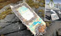 Mini Sailboat Launched by US Middle Schoolers in 2020 Found Washed Up in Norway by Student 462 Days Later