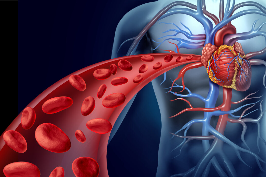 An image showing functional red blood cells. Sickle cell anaemia (SCA) and Beta thalassemia (BTHAL) are caused by mutations in the adult genes that carry instructions for the creation of red blood cells and cause them to change shape. (Lightspring/Shutterstock)