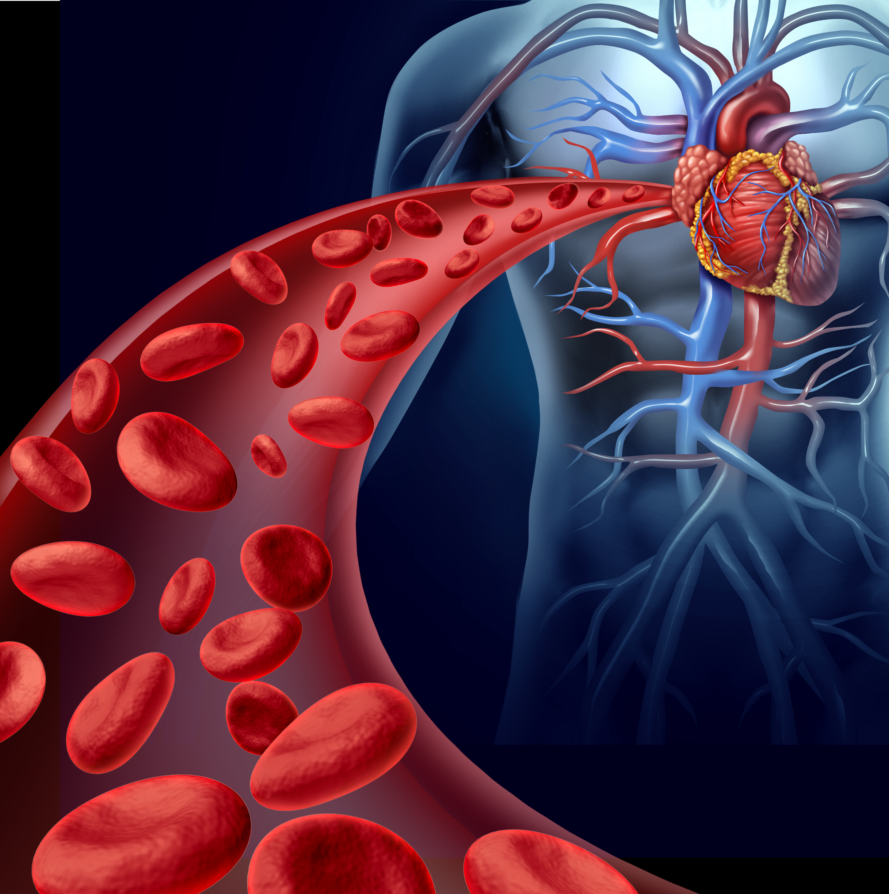 Lower Cholesterol and Prevent Heart Disease Without Drugs - Vimarsana News