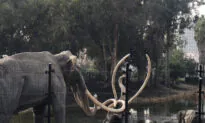 Prehistoric Creatures Rule in the Middle of Los Angeles