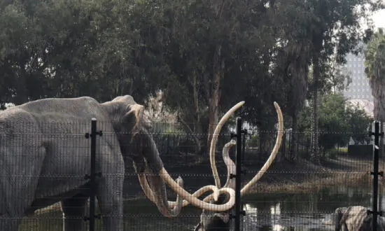 Prehistoric Creatures Rule in the Middle of Los Angeles