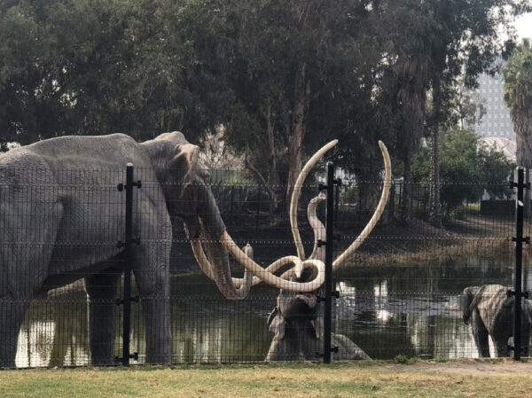Epoch Times Photo