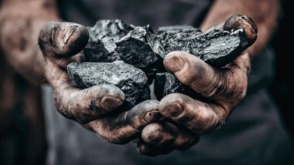 A miner holds chunks of coal. (Parilov/Adobe Stock)