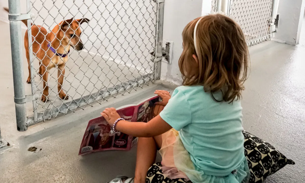 Four-year-old Karsen Gottfried reads to her "furry friend" at Gulf Coast Humane Society on March 12, 2022. (Jann Falkenstern/The Epoch Times)