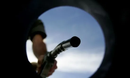 New Zealand Cuts Fuel Tax and Halves Public Transport Fares Amid Petrol Hikes