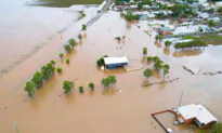 Three Million Baby Oysters Rescued From Floods