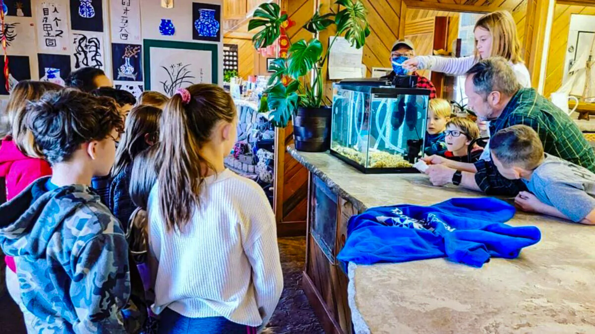 Students gather around a fish tank during class at Roots Farm in Palo Cedro, Calif., on Feb. 5, 2022. (Courtesy of Roots Farm)