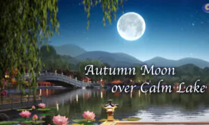 Peaceful Zither Music Portrays a Beautiful Moonlit Lake | Musical Moments