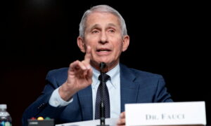 EXCLUSIVE: Fauci Said Great Barrington Declaration Reminded Him of AIDS Denialism