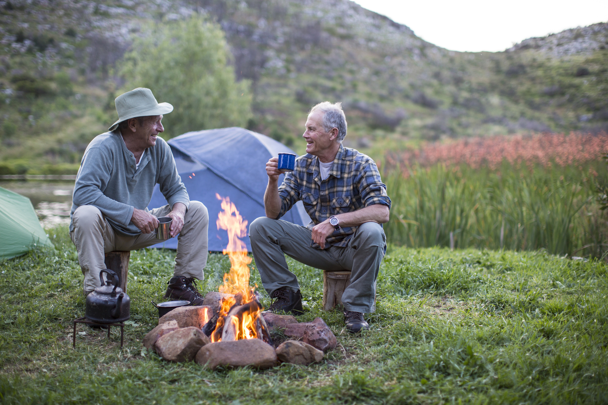 Poll: Majority of Americans Say Civility Has Declined - Vimarsana News