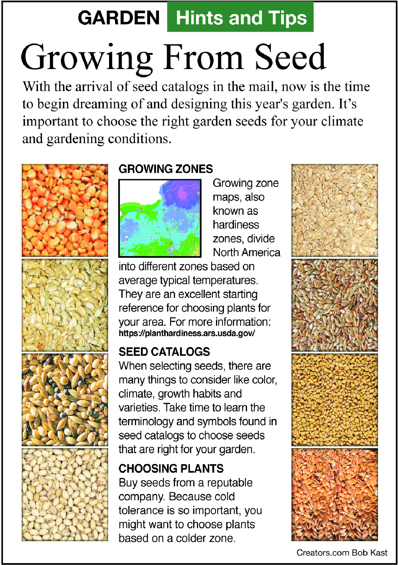 growing from seed tip sheet