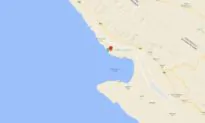 Emirati-Flagged Cargo Ship Sinks in Persian Gulf Off Iran