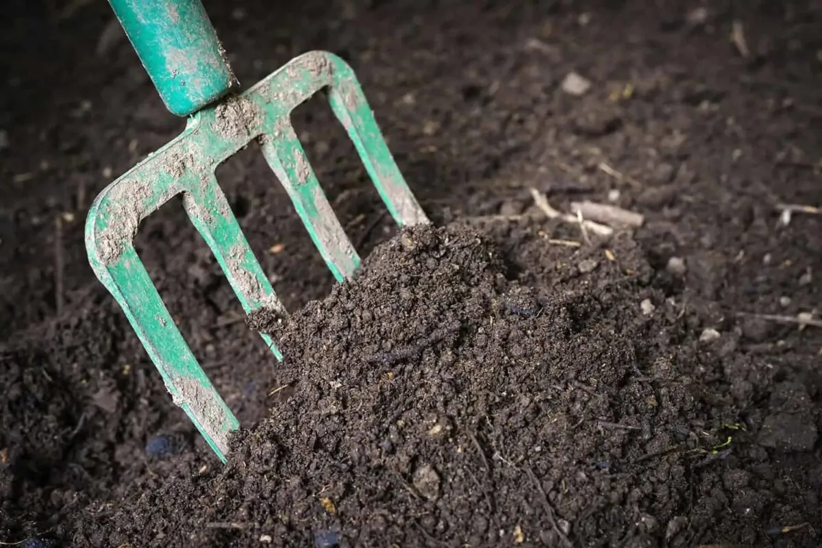Finished compost is deep brown in color with an earthy smell. (Todd Heft)