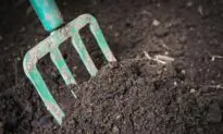 A 3-Minute Composting Primer