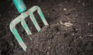 A 3-Minute Composting Primer