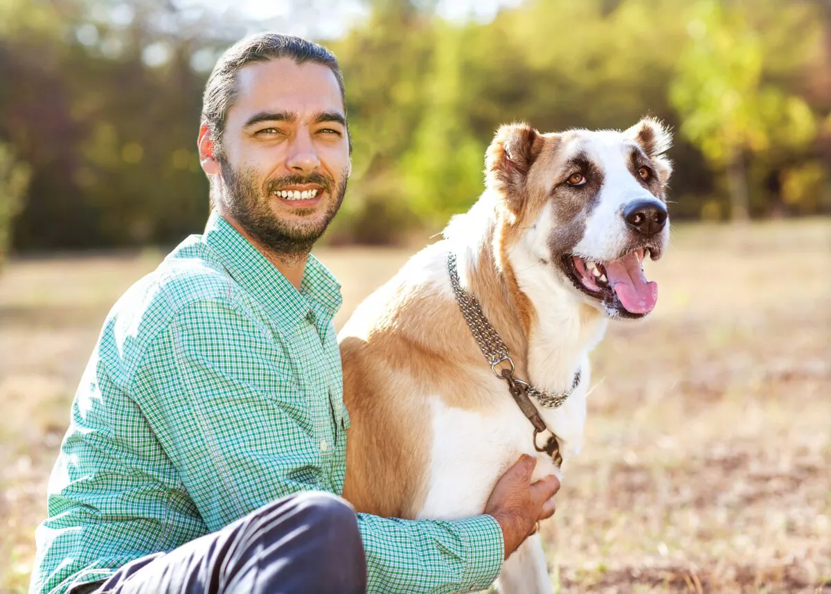 When separated from the primary caregiver, a dog with separation anxiety may be destructive indoors. (Rock and Wasp/Shutterstock)
