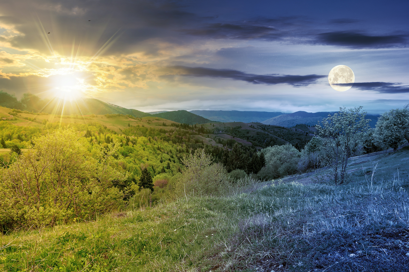 Spring Awakens - Vimarsana News
