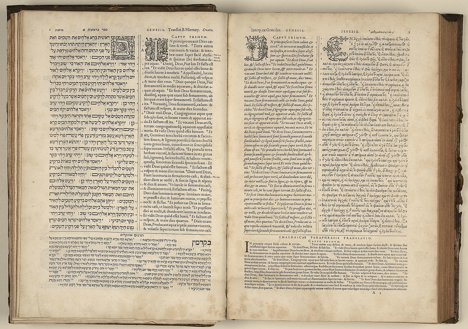 Book Review: 'The Department of Rare Books and Special Collections' - Vimarsana News