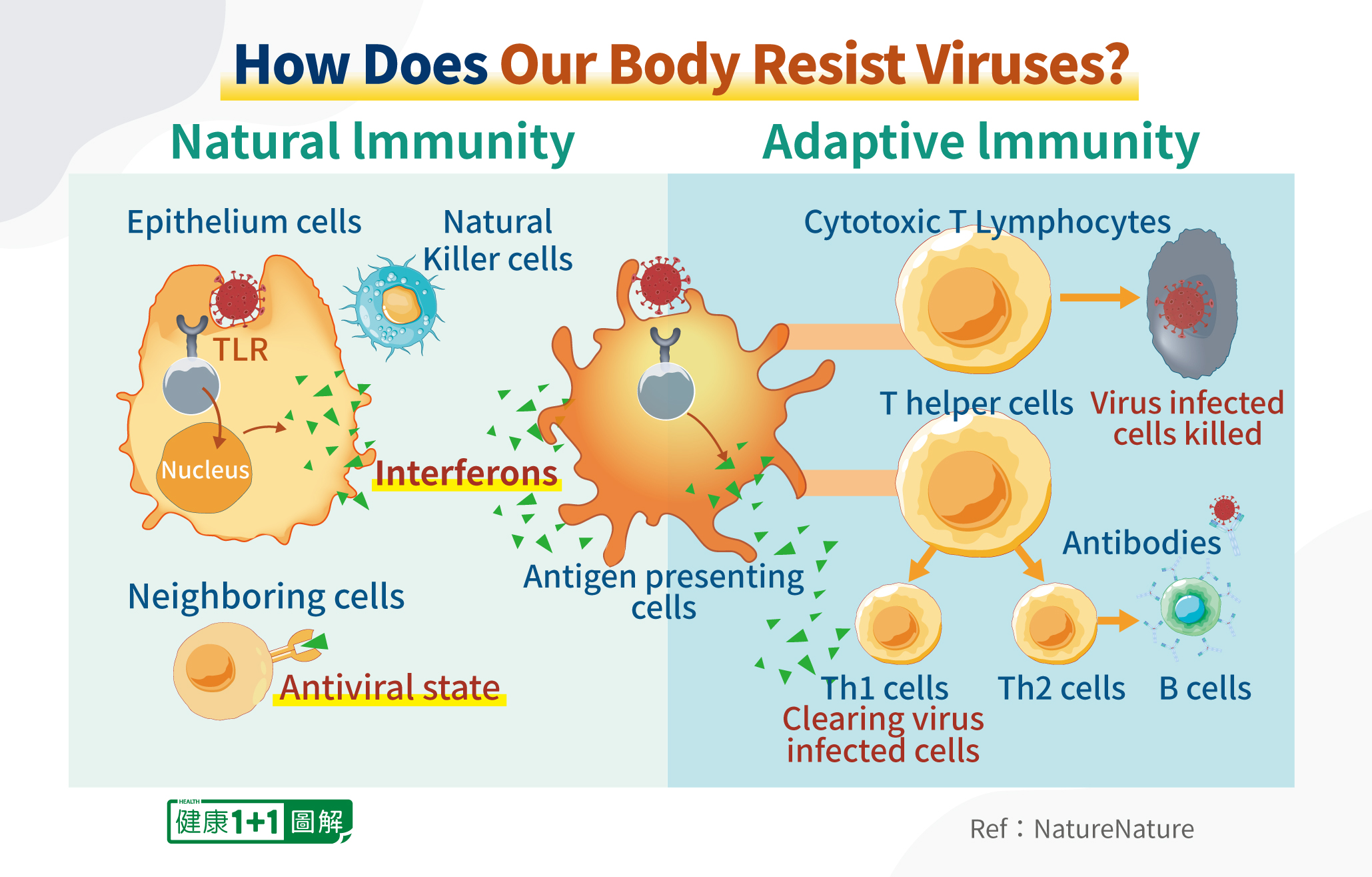 Why Some People Won’t Get Infected, Even After Covid Exposure 3fb650a05281d4a2f9891d31ed043d2b