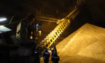 Global Fertilizer Supply Shrinks Amid Sanctions Against Russia and Belarus