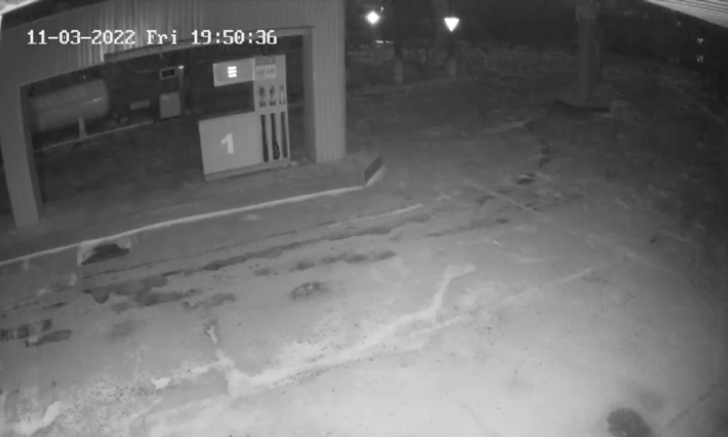 Footage Shows Shooting at Gas Station in Ukrainian City - Vimarsana News