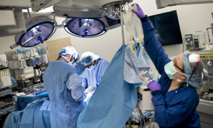A kidney is sewn into a recipient patient during a kidney transplant at Johns Hopkins Hospital June 26, 2012 in Baltimore, Maryland.  Doctors from Johns Hopkins transplanted the kidney from a living donor into the patient recipient.  (Brendan Smialowski/AFP/GettyImages)