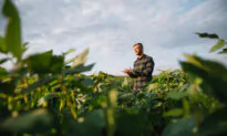 Fence Rows and Gut Health