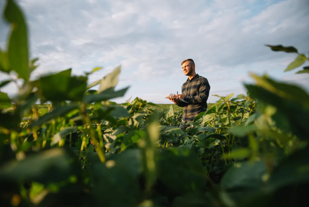 Sometimes, what you do not put in the soil is just as important as what you do put in it. Using nature and time tested ways to control pests and unwanted plants, instead of using pesticides can improve the quality of the foods you grow. (Shutterstock)