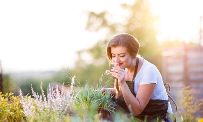 How to Regrow Your Favorite Herbs and Save Lots of Money