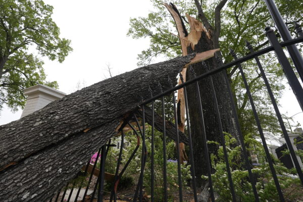 Epoch Times Photo