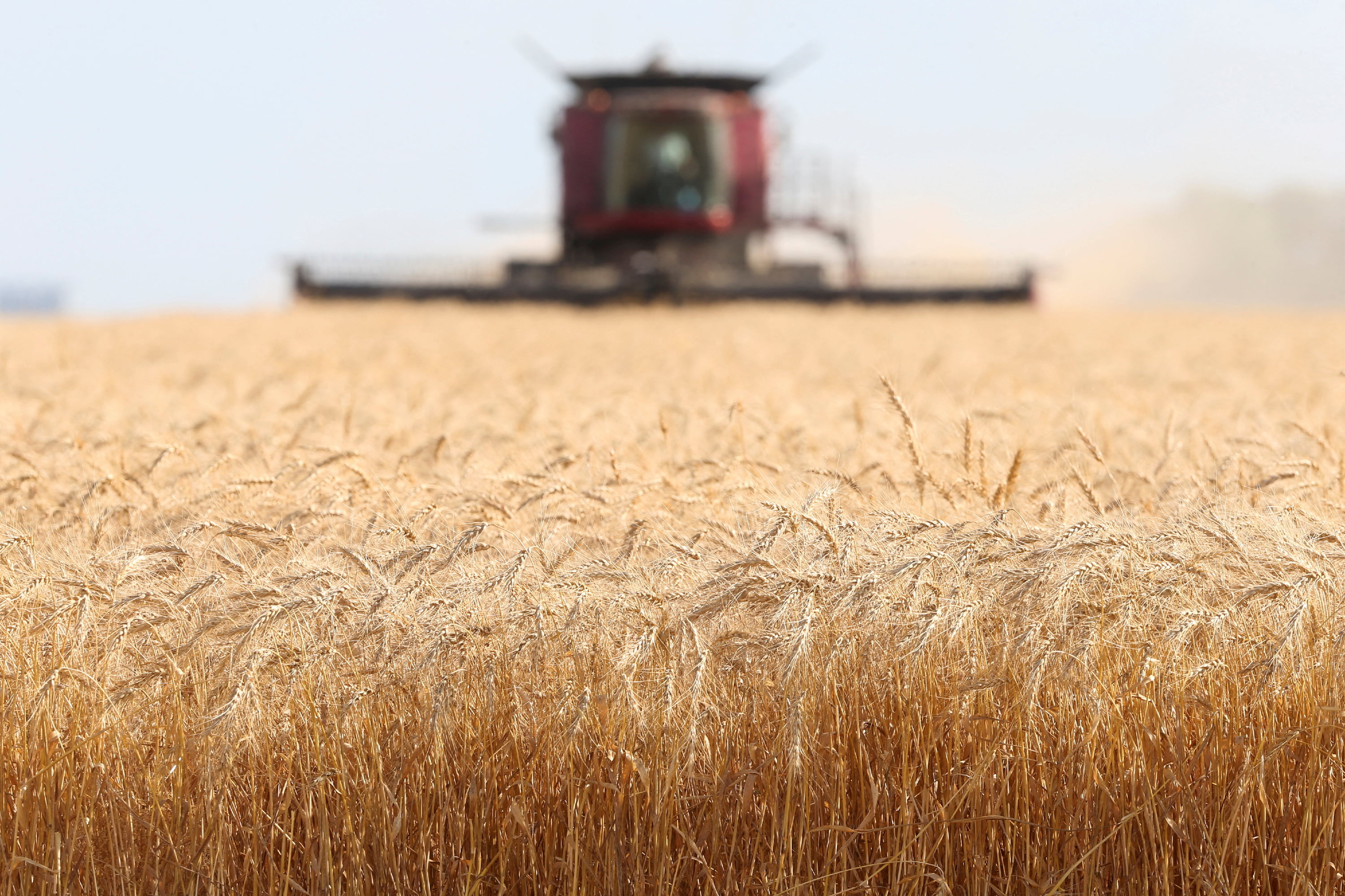 Agriculture Groups Reflect on Ottawa's Federal Emissions Targets - Vimarsana News
