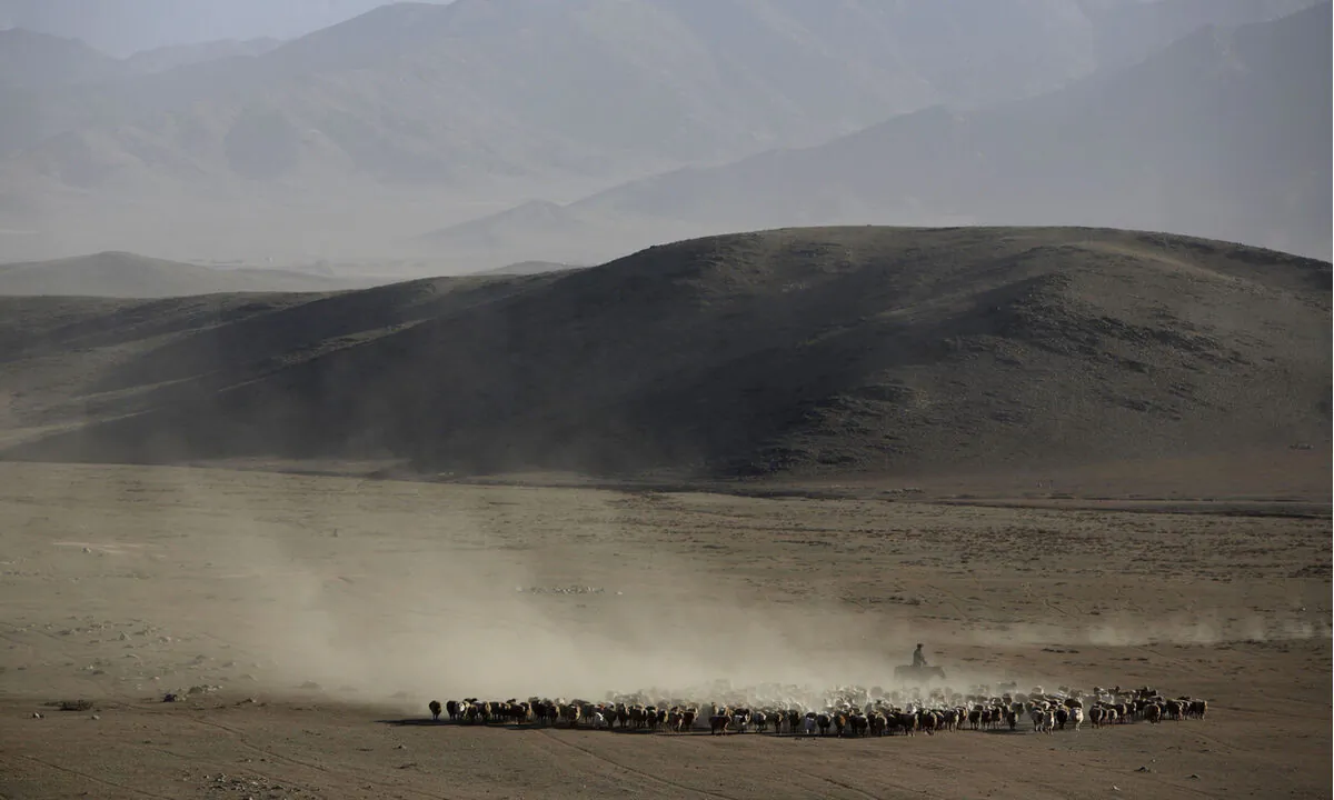 A landscape in Altay Prefecture, Xinjiang Uygur region, China, on Sept. 18, 2007. China's new G216 highway starts from the international border with Mongolia at Hongshanzui Port in Altay County and goes all the way through the Xinjiang desert till the south to Tibet. (China Photos/Getty Images)