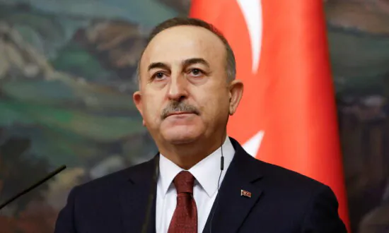 China ‘Disturbed’ by Turkey’s Support for Uyghurs: Turkish Minister