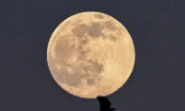 ‘Worm Moon’ Shines Over Rome’s Colosseum