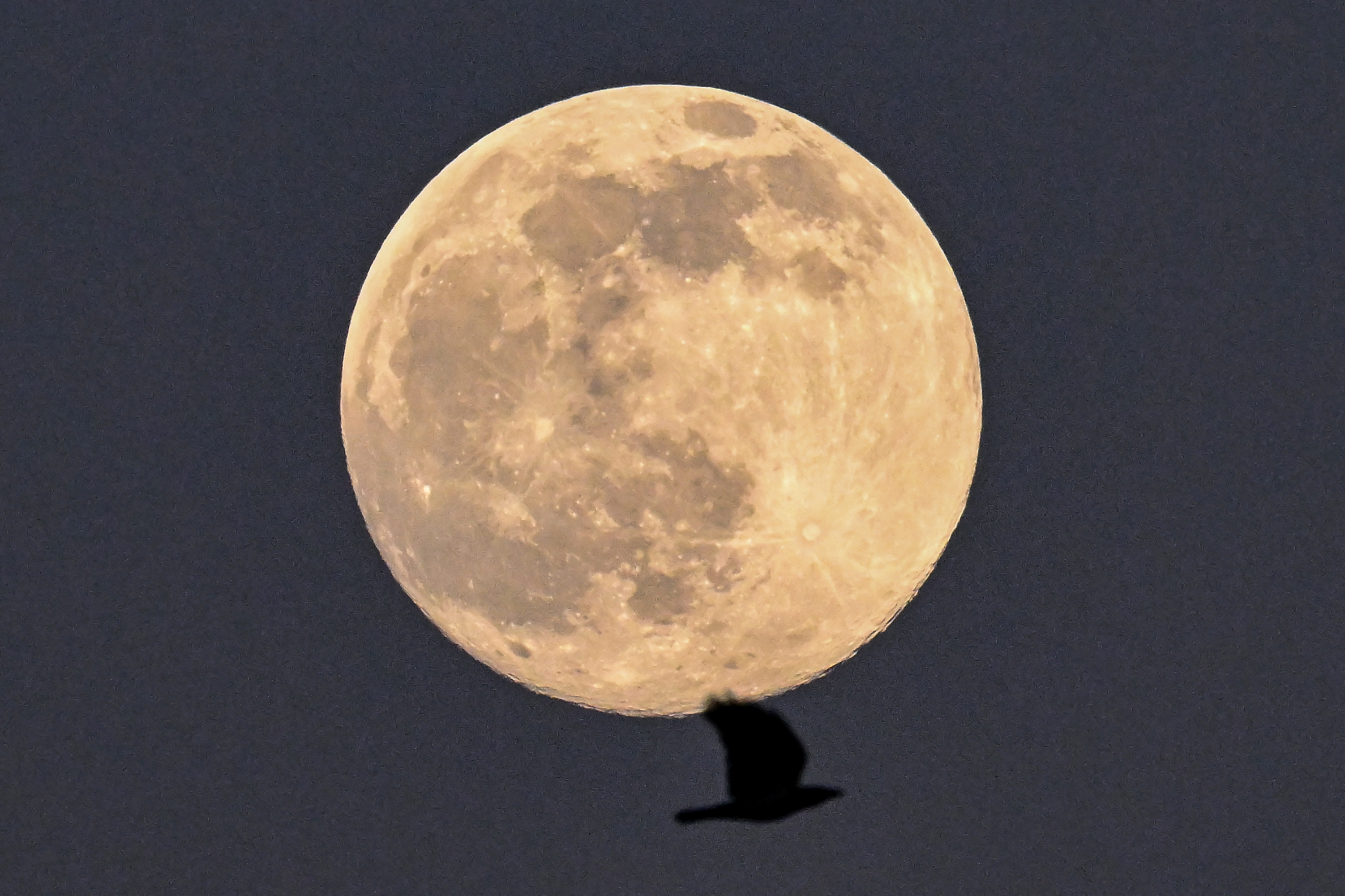 LIVE NOW: 'Worm Moon' Shines Over Rome's Colosseum - Vimarsana News