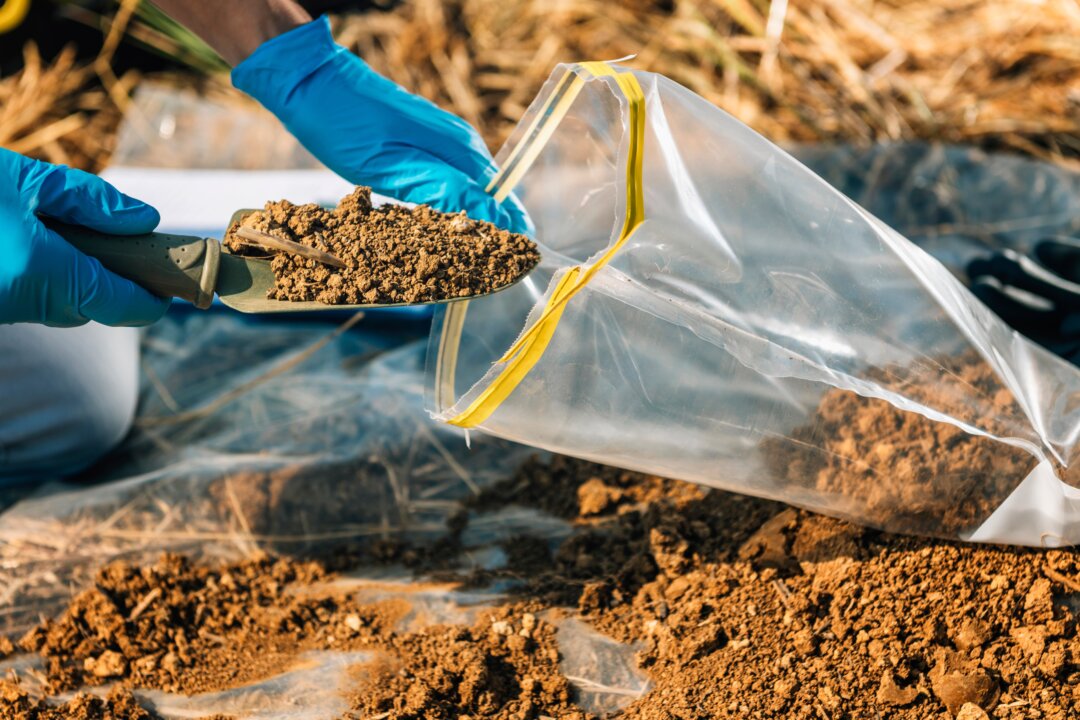 If you test your garden soil once every few seasons, you’ll discover problems before they affect your plants. 
 (Microgen/Shutterstock)