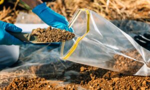 Where to Get Your Garden Soil Tested (State-by-State U.S.)