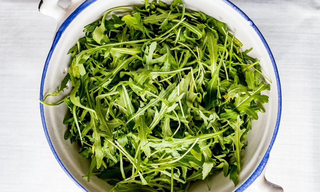 Look for arugula that is fresh, crisp, and bright green; avoid wilted, bruised, yellowing, or spotted leaves. (Giulia Scarpaleggia)