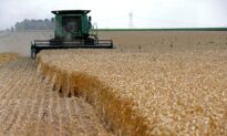 Investors Flock to Farmland as a Hedge Against Inflation