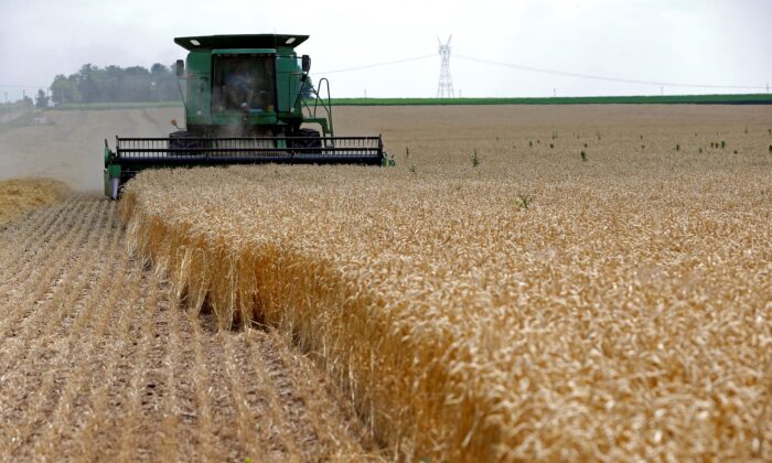 A combine drives over stalks of soft red winter wheat during the harvest on a farm in Dixon, Ill., on July 16, 2013. (Jim Young/Reuters)
