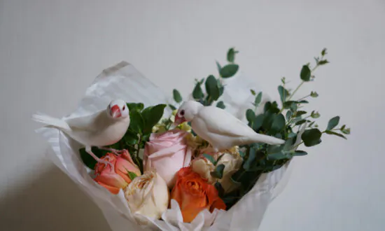 Rose and Bud: A Tale of Two Finches