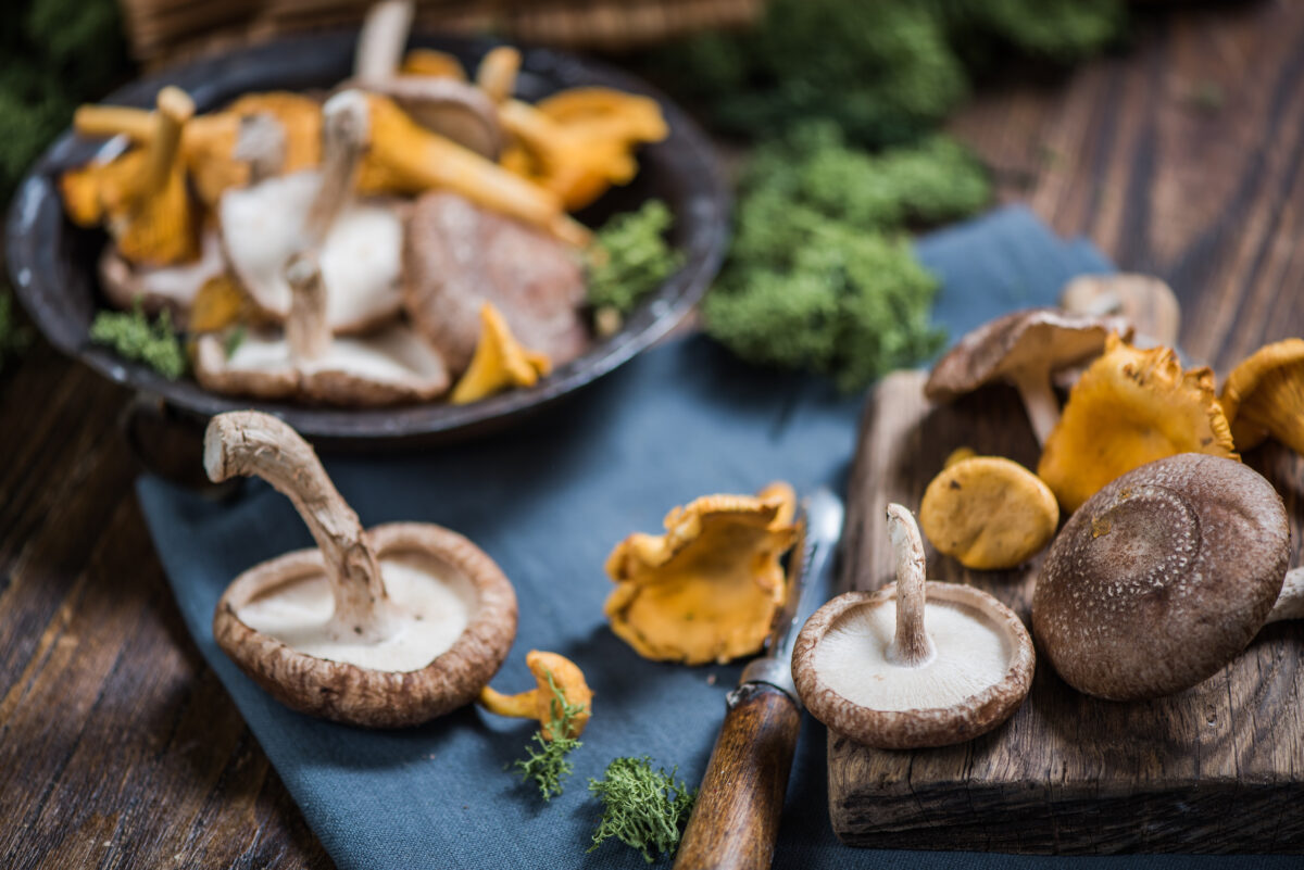 Medicinal Mushrooms: The New Power Food