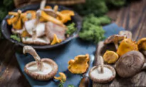Medicinal Mushrooms: The New Power Food