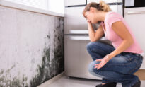 Mold Allergies and Asthma