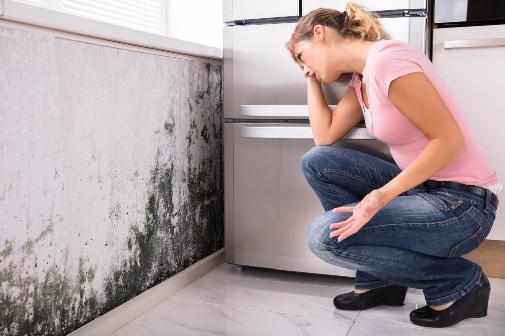 Mold can find its way into your home, under many weather conditions, making hard for you to breathe. Keep your home mold free, especially if you have breathing issues. (Shutterstock)
