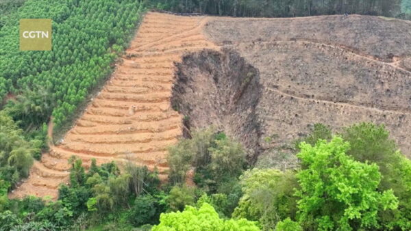 Epoch Times Photo