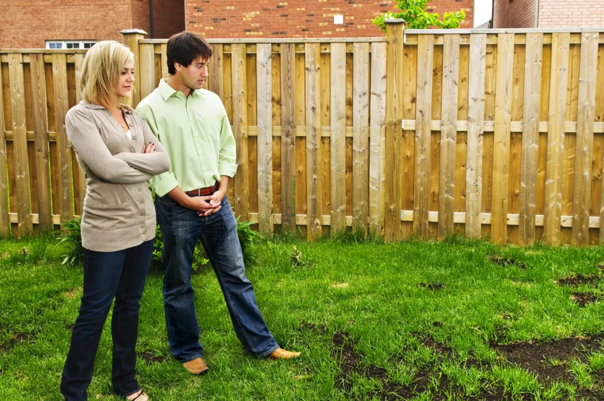 The problem with reseeding in the spring is that the good grass seeds will need the same weather conditions as the new crabgrass seeds and so they both come up together. (Elena Elisseeva/Shutterstock)