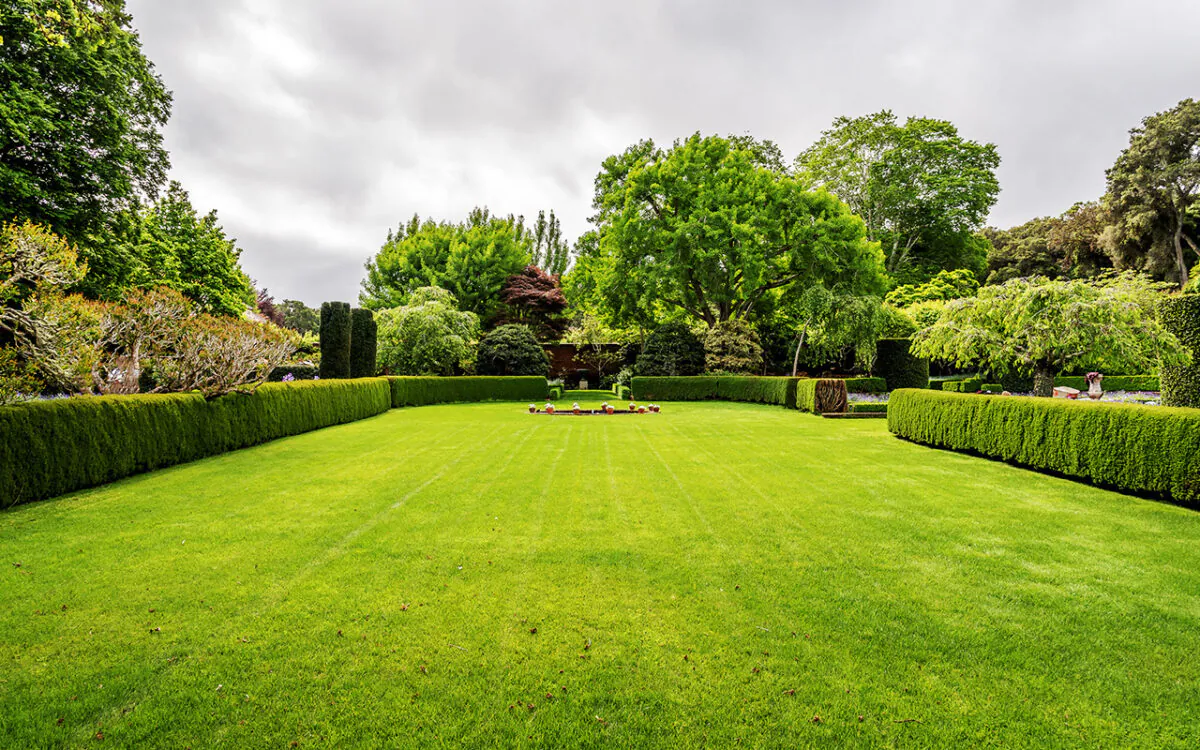 Green expanses of cultivated grasses first appeared about 900 years ago during the Middle Ages on royal estates in Great Britain and Northern France. (randy andy/shutterstock)